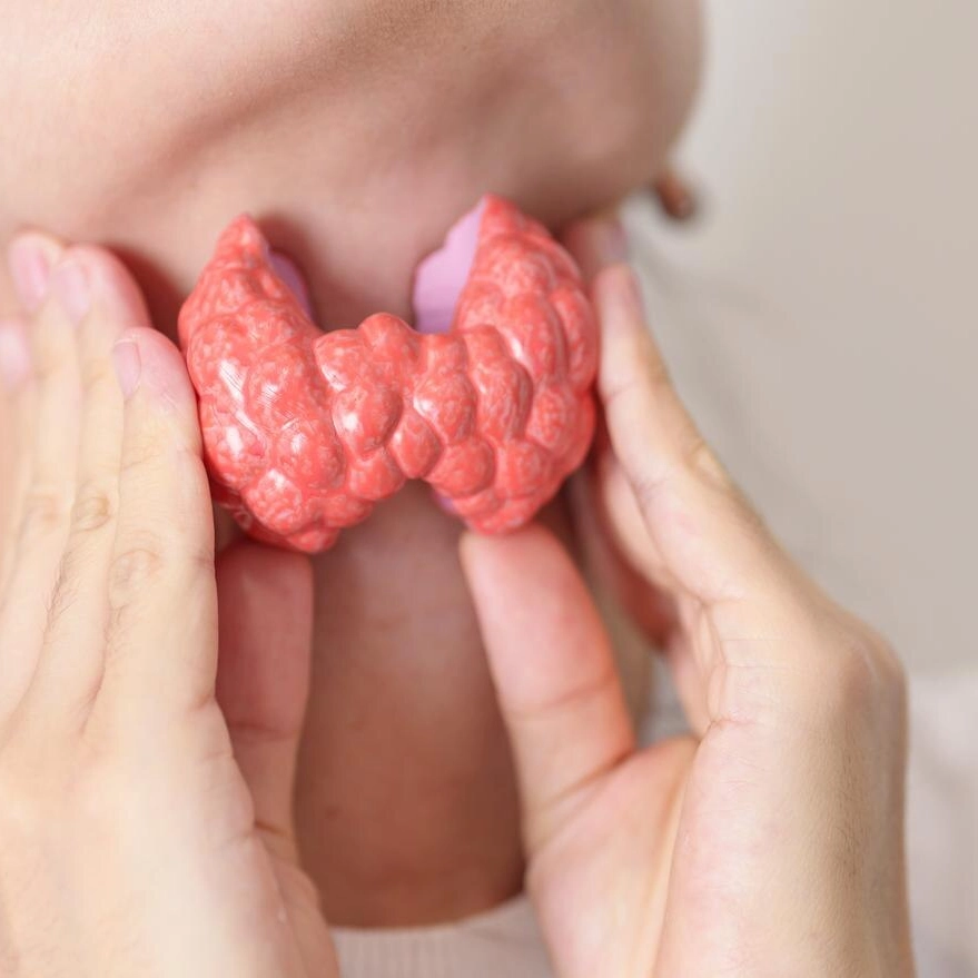 tiroide di hashimoto